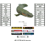 Tablet Screenshot of naopo.shinobiashi.com